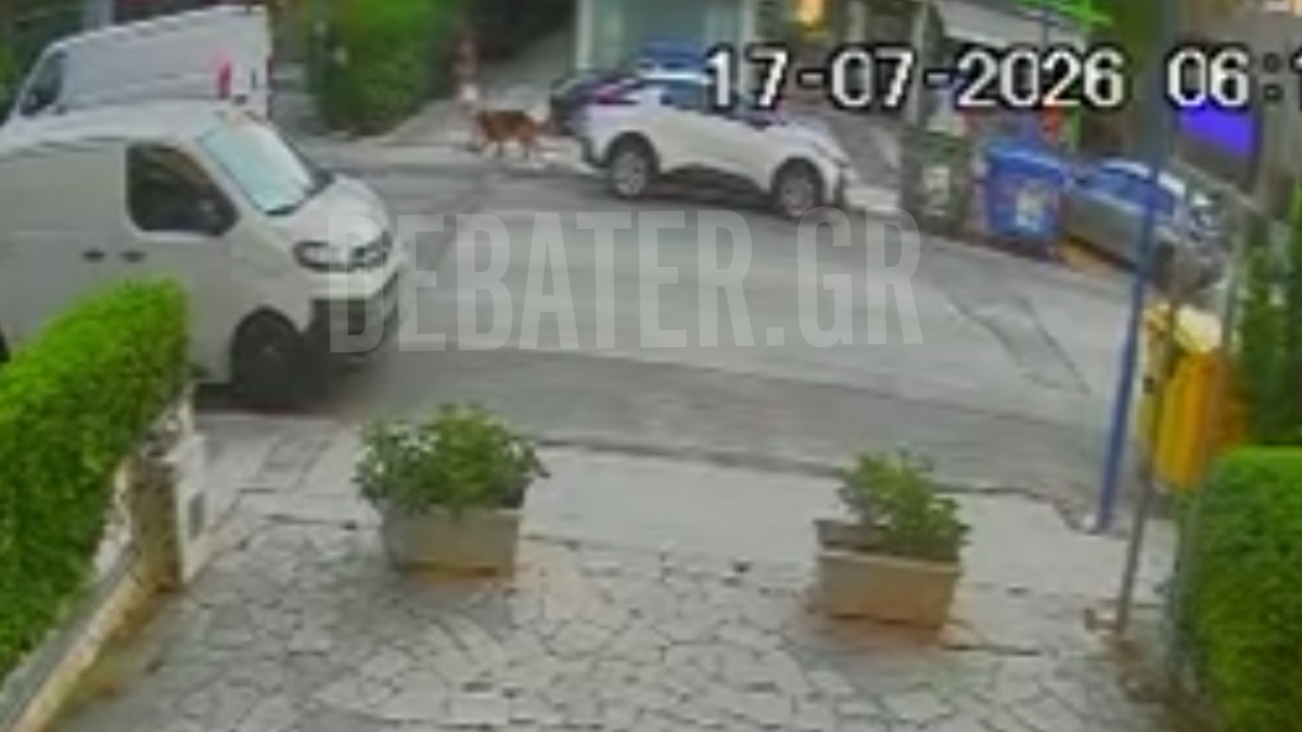 Βριλήσσια: Βίντεο ντοκουμέντα λίγο μετά την άγρια επίθεση σκύλου έξω από φούρνο – Ο 66χρονος “προσπάθησε να σώσει το σκυλάκι του”