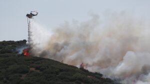 Θεσσαλονίκη: Σύλληψη 51χρονου για τη φωτιά στο Δερβένι – Εκτελούσε γεωργικές εργασίες με καταστροφέα