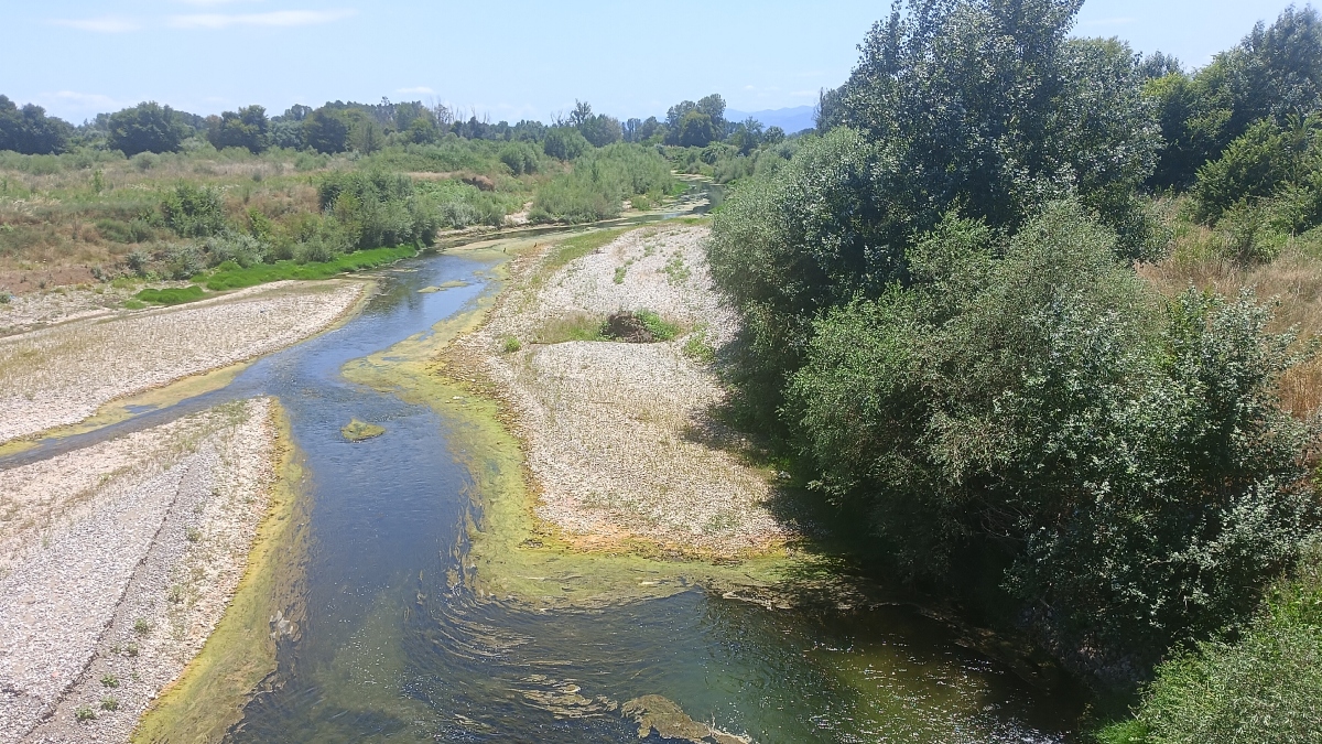 Ο Πηνειός μετατράπηκε σε… ποταμάκι – Σημαντική πτώση της ροής του ποταμού (Εικόνες)