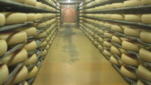 Αναζητούνται… 20 τόνοι τυριού Έμενταλ – Χάθηκαν καθ’ οδόν από τη Βαυαρία προς τη Γαλλία