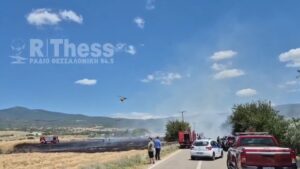 Φωτιά στα Βασιλικά Θεσσαλονίκης, ήχησε το 112 για ετοιμότητα – Κοντά σε σπίτια οι φλόγες (βίντεο)