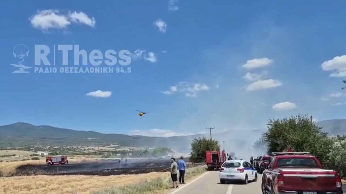 Φωτιά στα Βασιλικά Θεσσαλονίκης, ήχησε το 112 για ετοιμότητα – Κοντά σε σπίτια οι φλόγες (βίντεο)