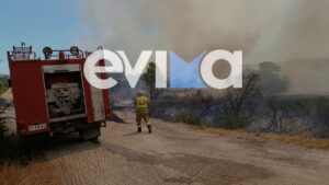 Φωτιά στο Αλιβέρι Εύβοιας: Μήνυμα του 112 για ετοιμότητα, επιχειρούν 9 εναέρια – Κοντά σε κατοικίες (βίντεο+εικόνες)