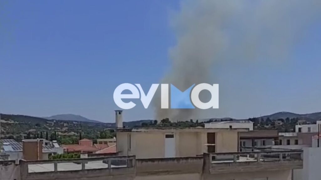 Φωτιά στο Αλιβέρι Εύβοιας: Μήνυμα του 112 για ετοιμότητα, επιχειρούν 6 εναέρια