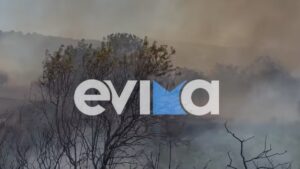 Φωτιά στο Αλιβέρι: Οριοθετημένη και χωρίς ενεργό μέτωπο η πυρκαγιά – Εκκενώθηκε οικισμός
