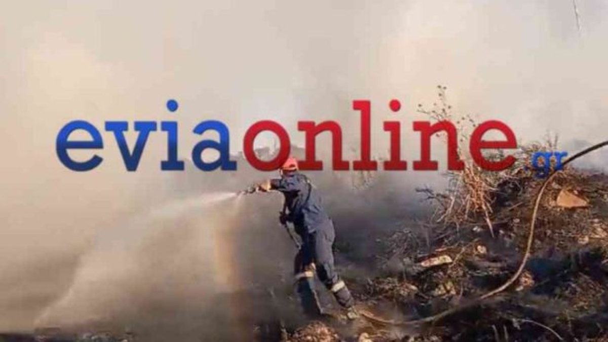 Εύβοια: Συνελήφθησαν δύο ανήλικοι για την φωτιά στην Ερέτρια