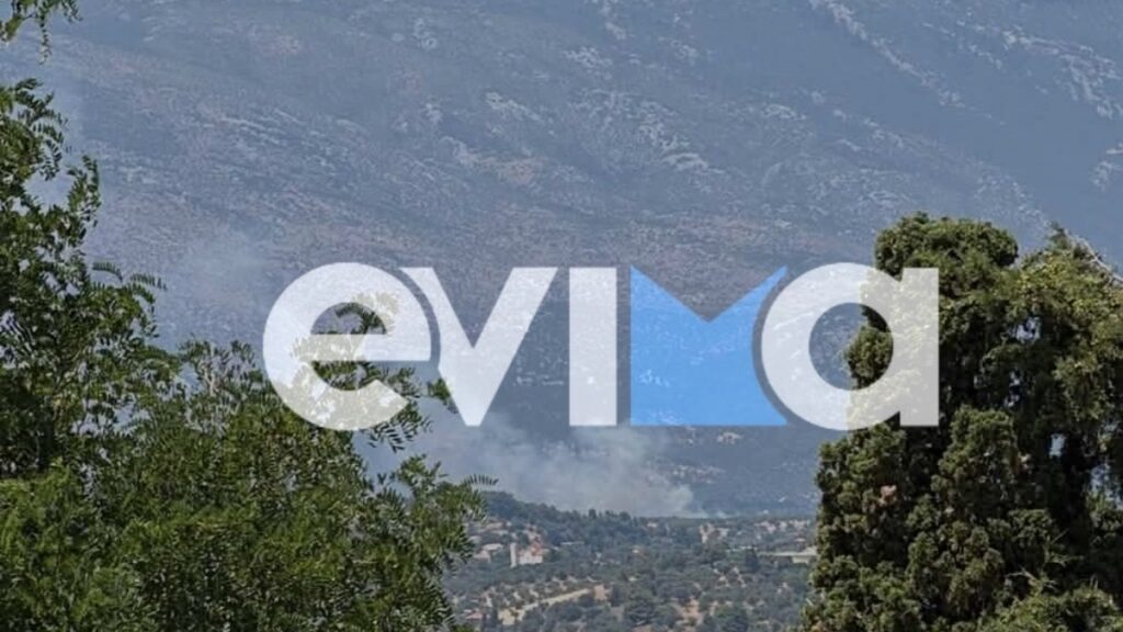 Φωτιά στην Επισκοπή Ευβοίας – Στάλθηκε μήνυμα από το 112 για εκκένωση του οικισμού