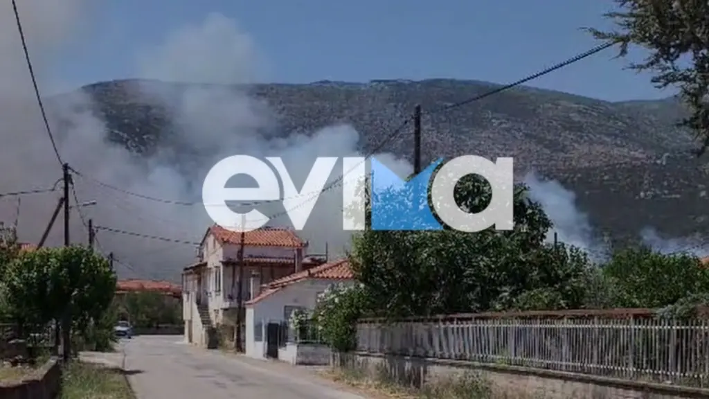 Επισκοπή Εύβοιας – Η φωτιά τέθηκε υπό έλεγχο, χωρίς ενεργά μέτωπα