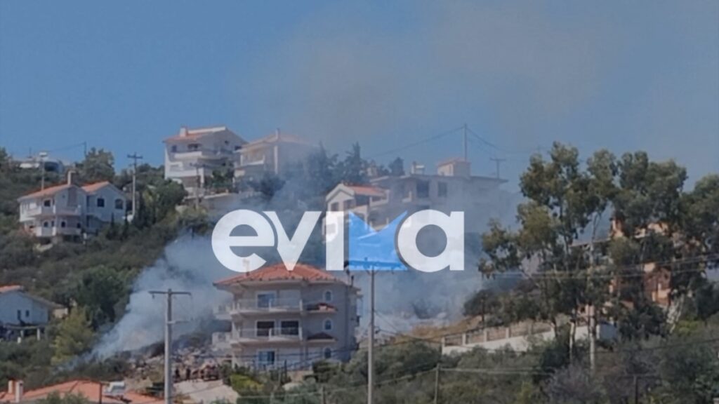 Φωτιά τώρα στην Εύβοια – Κοντά σε σπίτια οι φλόγες (Βίντεο)