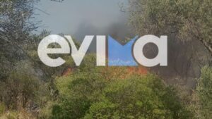 Φωτιά στα Πολιτικά Ευβοίας: Χωρίς ενεργό μέτωπο μέσα σε 30 λεπτά, επιχειρησαν 35 πυροσβεστες και 5 εναέρια μέσα