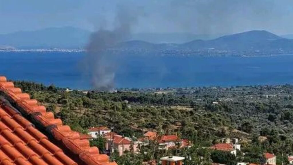 Φωτιά στα Πολιτικά Ευβοίας – Επιχειρούν 5 εναέρια μέσα