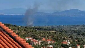 Φωτιά στα Πολιτικά Ευβοίας – Επιχειρούν 5 εναέρια μέσα (Βίντεο – Φωτογραφίες)