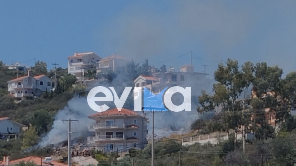 Μέσα σε 15 λεπτά έσβησε η φωτιά στην Εύβοια – Έκαιγε κοντά σε σπίτια (Εικόνες & Βίντεο)