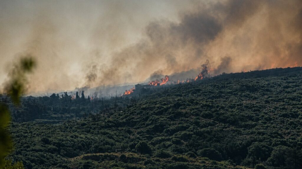 Φωτιά στην Επίδαυρο: Ανεξέλεγκτο το μέτωπο στο Αδάμι – Επιχειρούν 4 ενάερια μέσα