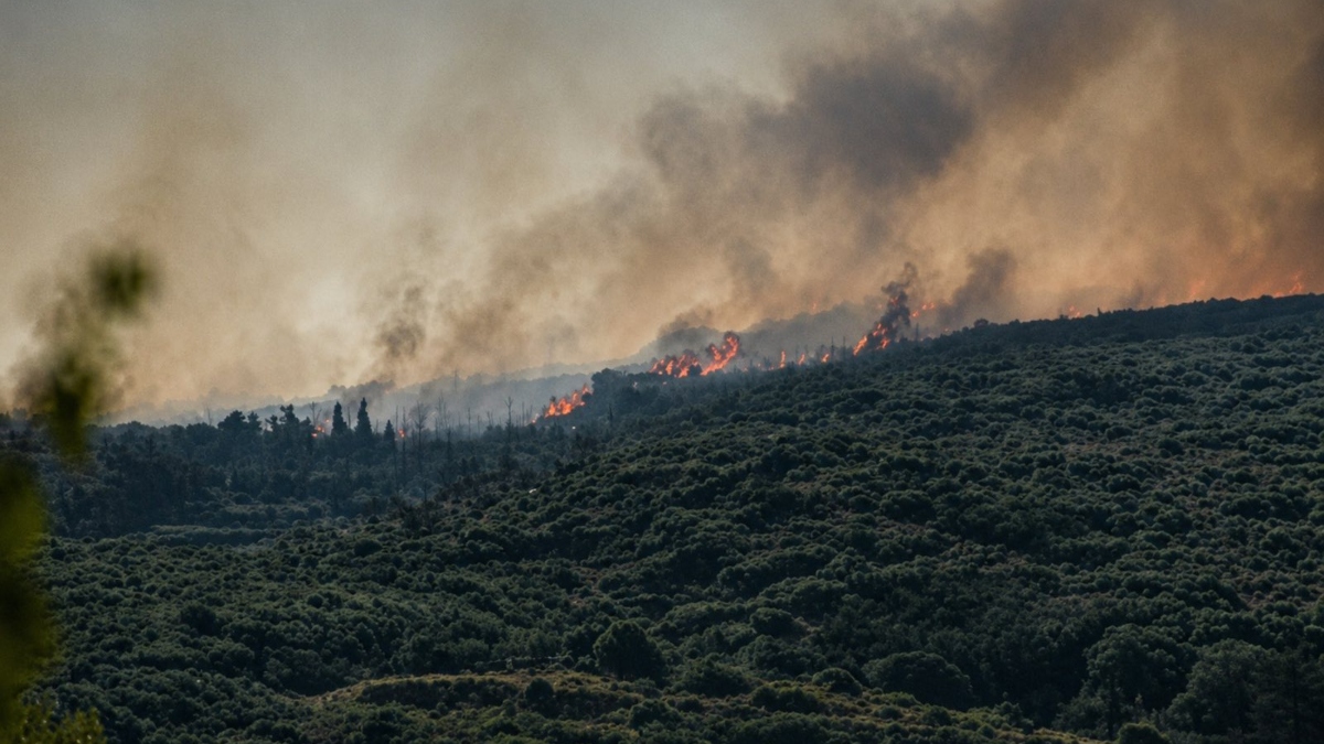 Φωτιά στην Επίδαυρο: Ανεξέλεγκτο το μέτωπο στο Αδάμι – Επιχειρούν 4 ενάερια μέσα (εικόνες)