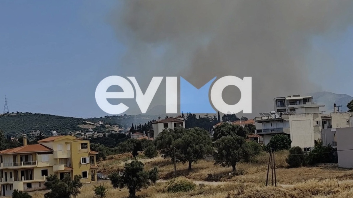 Φωτογραφία
