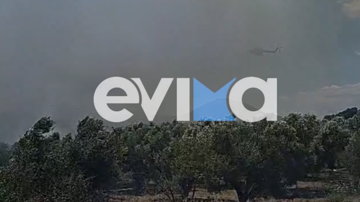 Φωτογραφία