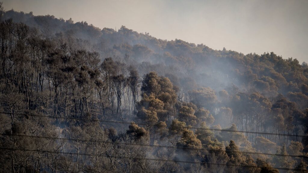 Βελτιωμένη η εικόνα της πυρκαγιάς στην Οινόη – Μαρτυρίες ότι ξεκίνησε από τσιγάρο που πετάχτηκε από διερχόμενο όχημα