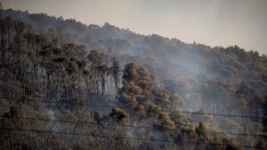 Βελτιωμένη η εικόνα της πυρκαγιάς στην Οινόη – Μαρτυρίες ότι ξεκίνησε από τσιγάρο που πετάχτηκε από διερχόμενο όχημα