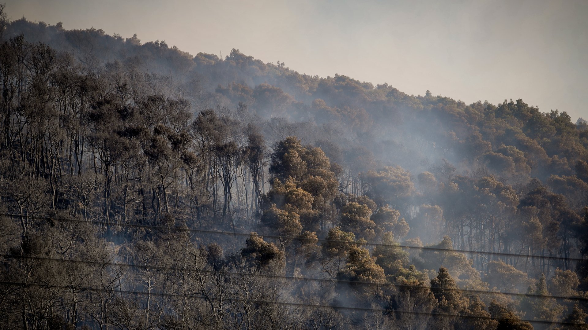 Βελτιωμένη η εικόνα της πυρκαγιάς στην Οινόη – Μαρτυρίες ότι ξεκίνησε από τσιγάρο που πετάχτηκε από διερχόμενο όχημα