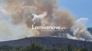 Φωτιά στη Φθιώτιδα: Ήχησε ξανά το 112 για νέα εκκένωση οικισμού – Ενισχύθηκαν οι δυνάμεις της Πυροσβεστικής (Βίντεο – Φωτογραφίες)