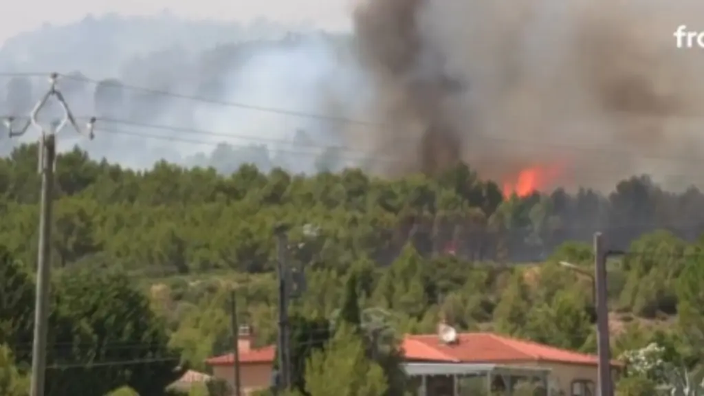 Φωτιά σε δάσος του Φοντενεμπλό: 19χρονος εθελοντής πυροσβέστης ομολόγησε ότι έβαλε την πυρκαγιά με σπίρτα και βενζίνη – 6 συλλήψεις