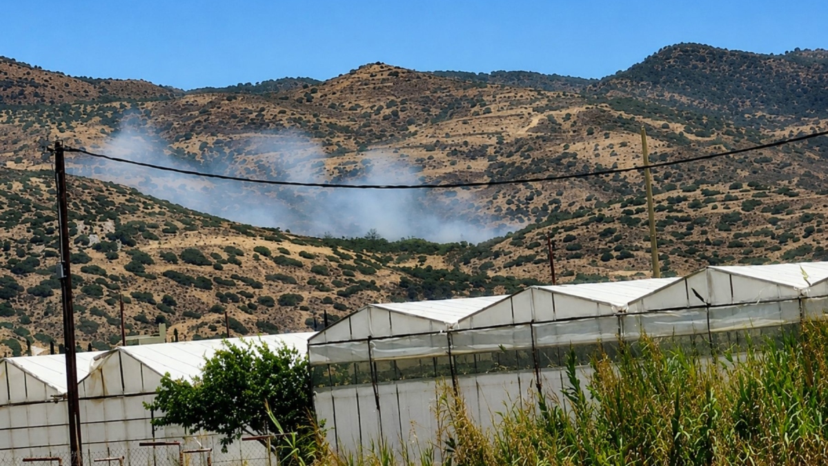Οριοθετήθηκε η φωτιά στην Ιεράπετρα – Υπό έλεγχο οι πυρκαγιές σε Αφράτι και Βιάννο στο Ηράκλειο  (βίντεο)