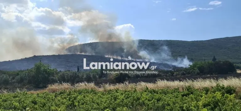 Φωτογραφία