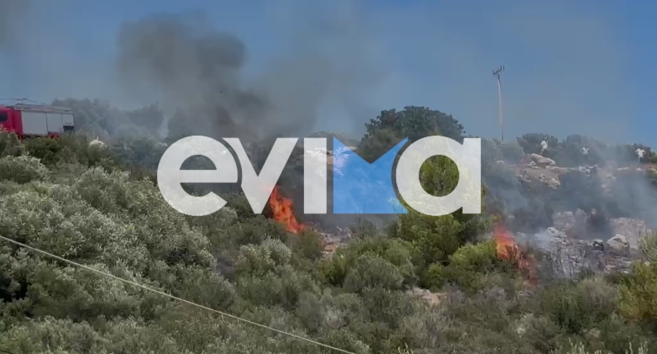 Φωτογραφία