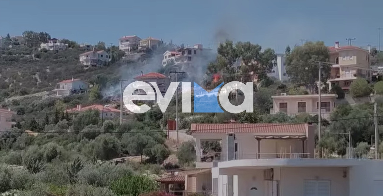 Φωτογραφία