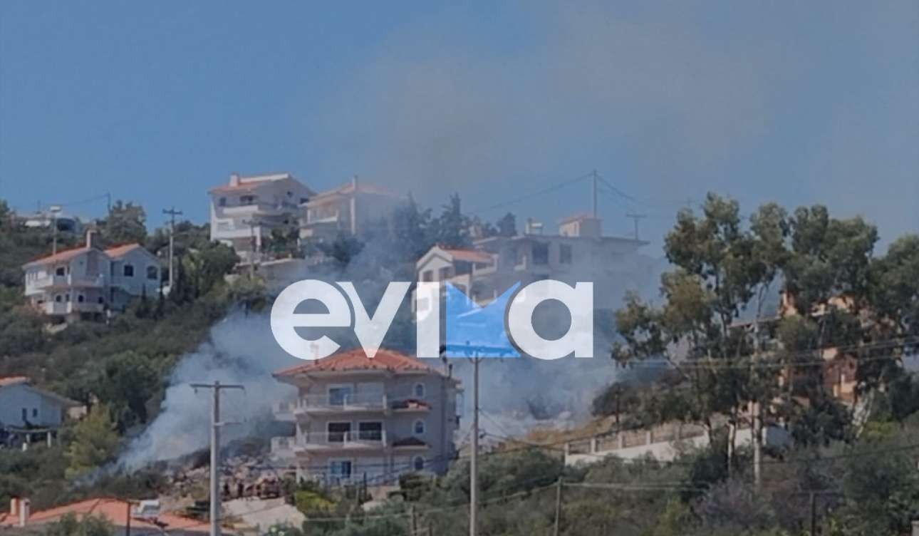 Φωτογραφία