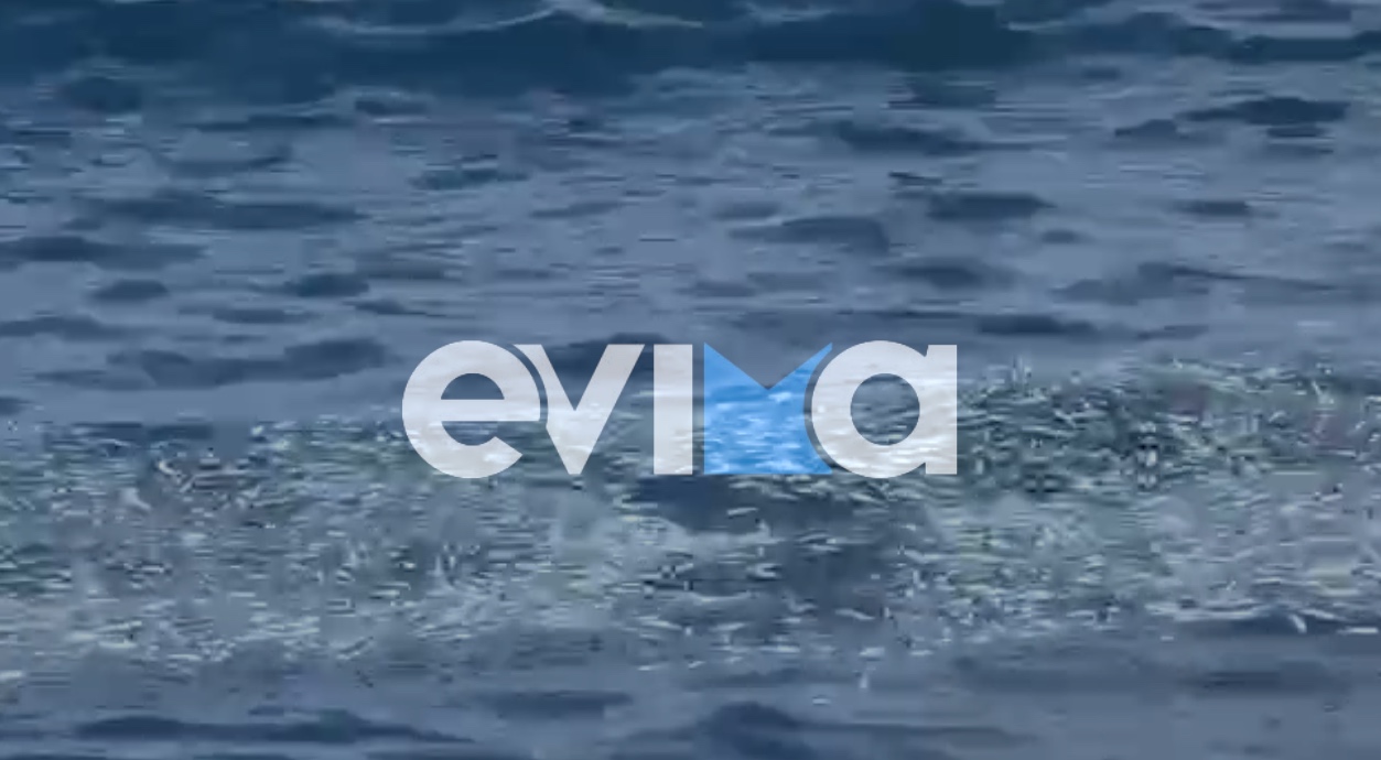 Φωτογραφία