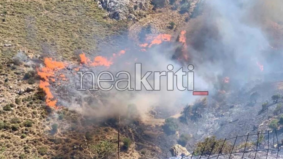 Φωτιά στο Μελιδοχώρι Ηρακλείου: Ενεργοποιήθηκε το 112, επιχειρούν 8 εναέρια μέσα – Εκκενώνονται οικισμοί (βίντεο)
