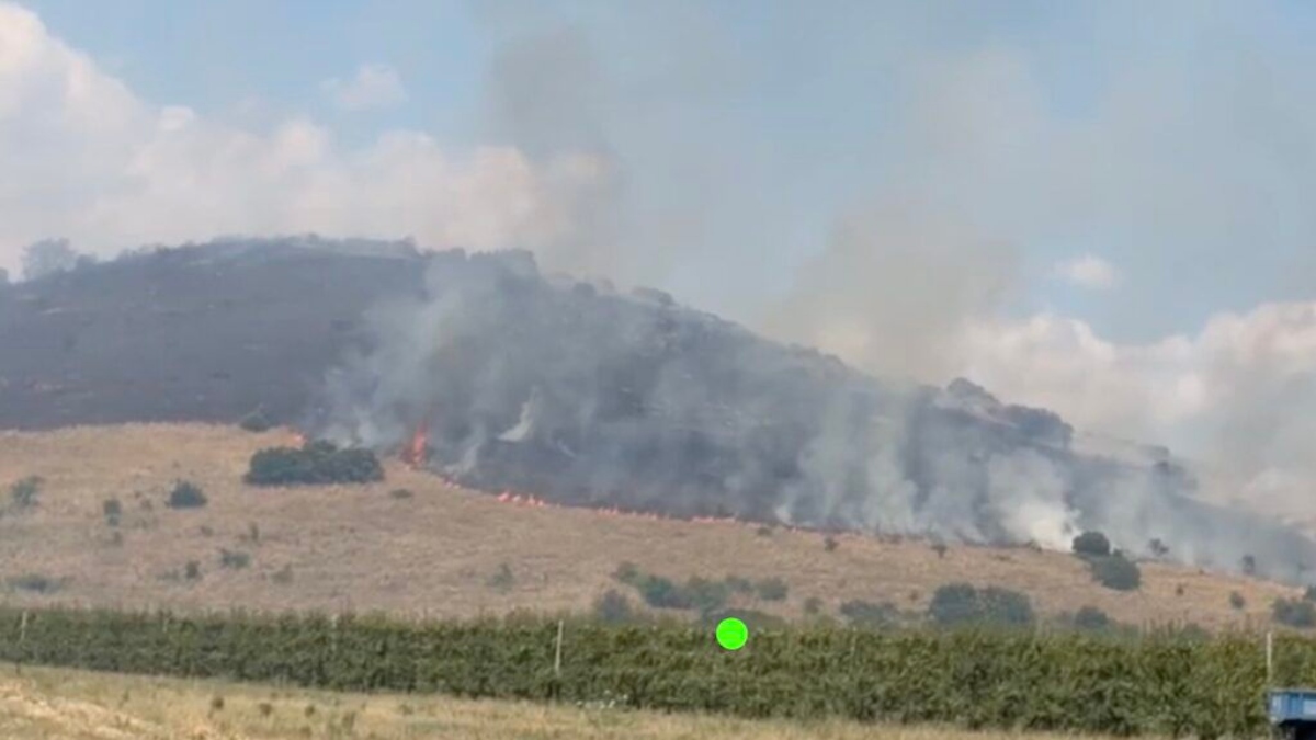 Φωτιά στον Αργυρόμυλο Λάρισας: Ενισχύθηκαν οι δυνάμεις της Πυροσβεστικής – Δεν απειλούνται σπίτια