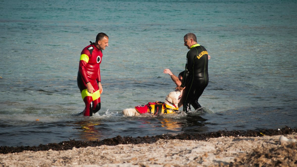 Χαλκιδική: Ναυαγοσώστης επανέφερε στη ζωή κοριτσάκι 2,5 ετών που ανασύρθηκε χωρίς τις αισθήσεις του από τη θάλασσα