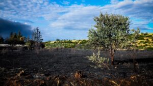 Ωραιόκαστρο: Σε εξέλιξη η προσπάθεια κατάσβεσης της πυρκαγιάς – Δεν εμπνέει ανησυχία η κατάσταση των πυροσβεστών που μεταφέρθηκαν στο 424