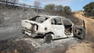 Ωραιόκαστρο: Στον εισαγγελέα ο 76χρονος που συνελήφθη – Χωρίς ενεργό μέτωπο η φωτιά