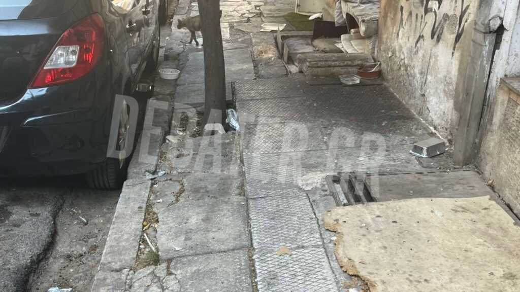 Καταγγελία για υγειονομική βόμβα στην Φραγκιαδών στον Πειραιά: «Είμαστε φιλόζωοι, αλλά αυτή η κατάσταση είναι τραγική» (εικόνες+βίντεο)