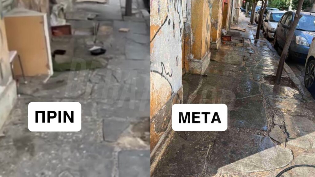 Καταγγελία για υγειονομική βόμβα στην Φραγκιαδών στον Πειραιά: «Είμαστε φιλόζωοι, αλλά αυτή η κατάσταση είναι τραγική» (εικόνες+βίντεο)