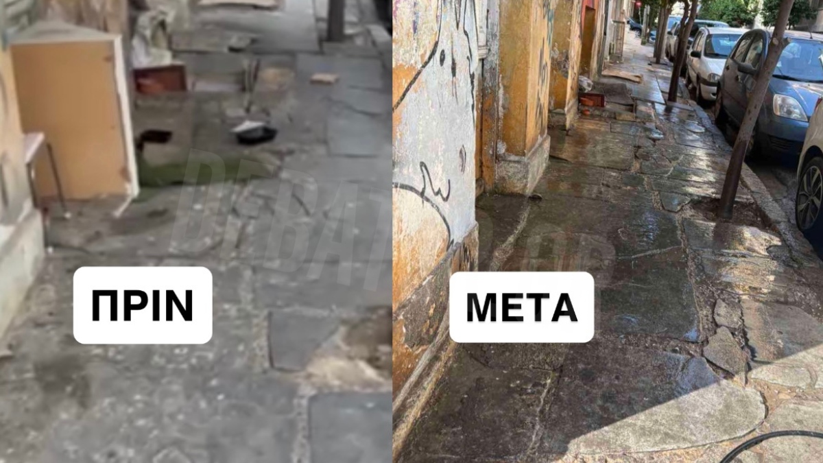 Καταγγελία για υγειονομική βόμβα στην Φραγκιαδών στον Πειραιά: «Είμαστε φιλόζωοι, αλλά αυτή η κατάσταση είναι τραγική» (εικόνες+βίντεο)