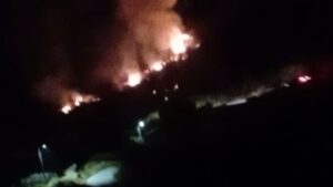 Πυρκαγιά στην Αμυγδαλέα Καρύστου σε αγροτοδασική έκταση – Την έσβησαν σε 2 ώρες (βίντεο)
