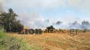 Φωτιά στην Οινούσσα Σερρών: Οριοθετημένη και χωρίς ενεργό μέτωπο η πυρκαγιά