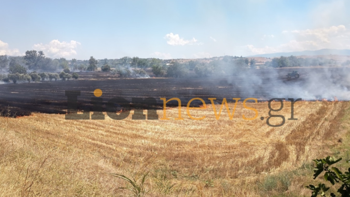 Φωτογραφία