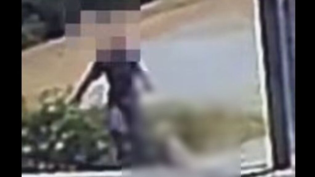 Φρίκη στο Άστρος Κυνουρίας: Άνδρας σέρνει νεκρό σκύλο με σύρμα στον λαιμό – Σοκάρει το βίντεο (σκληρές εικόνες)