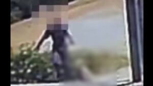 Φρίκη στο Άστρος Κυνουρίας: Άνδρας σέρνει νεκρό σκύλο με σύρμα στον λαιμό – Σοκάρει το βίντεο (σκληρές εικόνες)