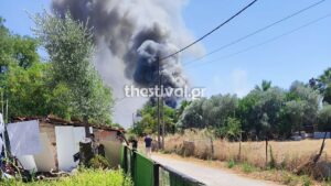Φωτιά στα Υψώματα Διαβατών Θεσσαλονίκης – Μήνυμα του 112 για ετοιμότητα, απειλούνται σπίτια και εγκαταστάσεις (βίντεο)