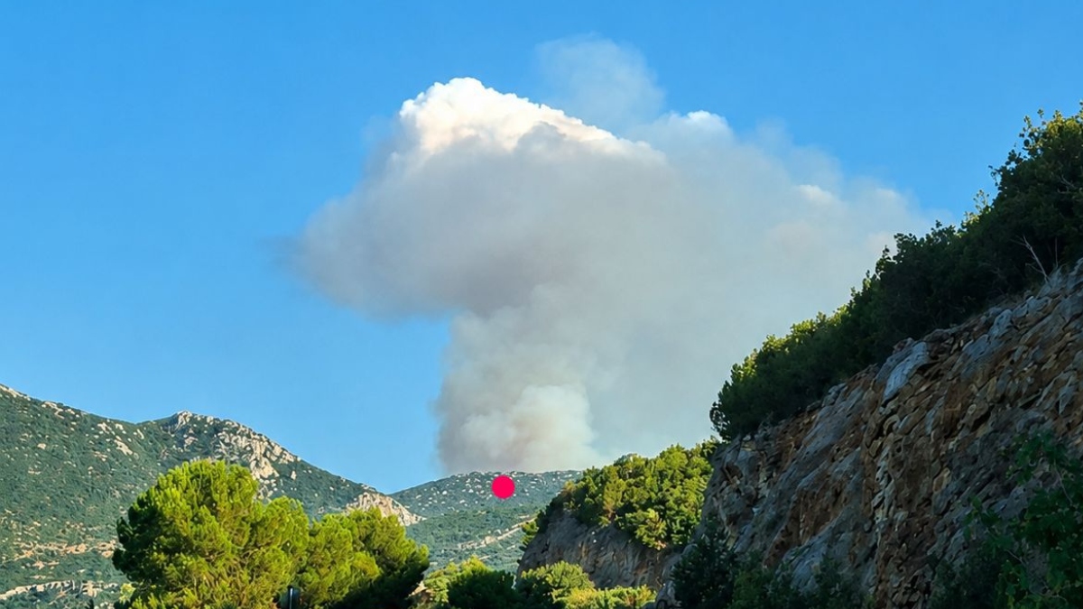 Φωτιά στην Αγία Ελένη Τροιζηνίας – Ήχησε το 112 για εκκένωση οικισμού, ενισχύθηκαν οι πυροσβεστικές δυνάμεις