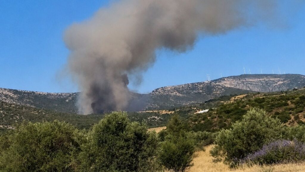 Φωτιά στην Αγία Ελένη Τροιζηνίας: Χωρίς ενεργό μέτωπο η πυρκαγιά – Μάχη με τις διάσπαρτες εστίες