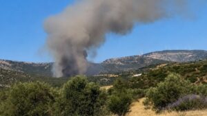 Φωτιά στην Αγία Ελένη Τροιζηνίας: Χωρίς ενεργό μέτωπο η πυρκαγιά – Μάχη με τις διάσπαρτες εστίες