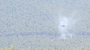 Φωτιά στα Βίλια: Υπό μερικό έλεγχο η πυρκαγιά – Επιχειρούν 7 εναέρια μέσα, δείτε βίντεο